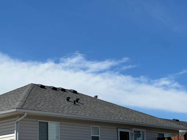 Fast & Reliable Emergency Roof Repairs in Wrightstown, WI